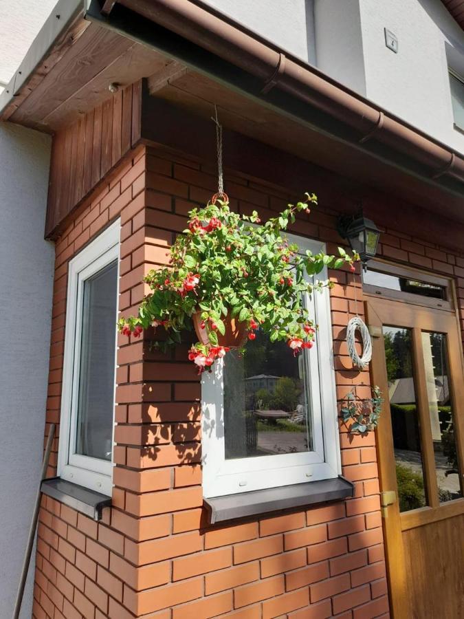 Agroturystyka Stokrotka Rymanów-Zdrój Eksteriør bilde