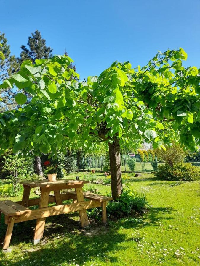 Agroturystyka Stokrotka Rymanów-Zdrój Eksteriør bilde